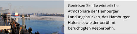 Genießen Sie die winterliche  Atmosphäre der Hamburger  Landungsbrücken, des Hamburger  Hafens sowie der berühmt-  berüchtigten Reeperbahn.
