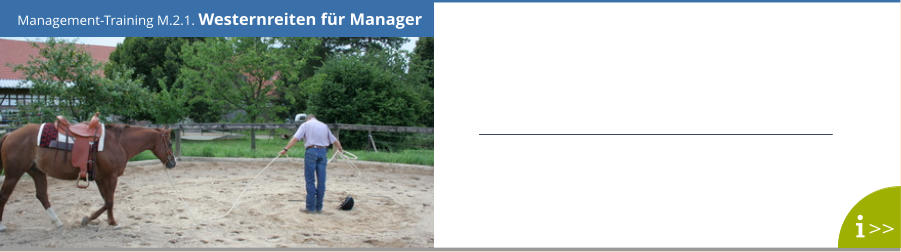 Management-Training M.2.1. Westernreiten für Manager >>
