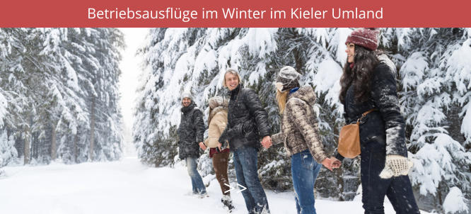 Betriebsausflüge im Winter im Kieler Umland >>
