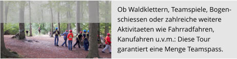 Ob Waldklettern, Teamspiele, Bogen- schiessen oder zahlreiche weitere  Aktivitaeten wie Fahrradfahren,  Kanufahren u.v.m.: Diese Tour  garantiert eine Menge Teamspass.